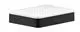 AXOR-HG-Seifenschale-Axor-Universal-Accessories-mattschwarz-42803670 gallery number 1
